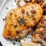 air fryer recipes chicken breast 2026 03 18 033042 1