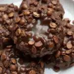 chocolate no bake cookies 2026 03 14 063712 1