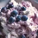 blueberry fluff salad 2026 04 03 135912 2